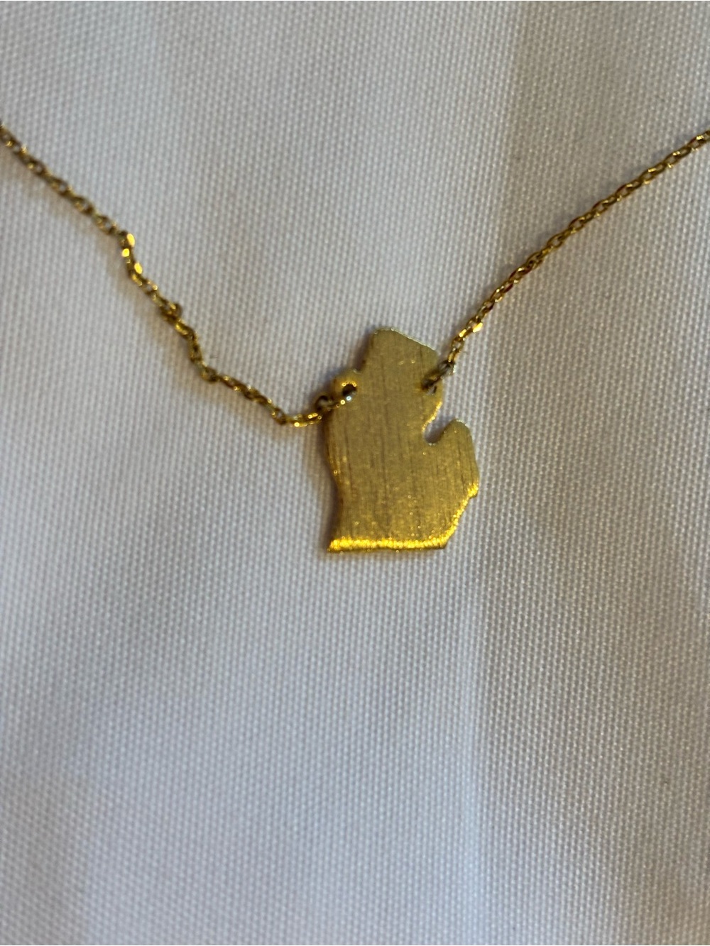 Michigan Mitten Dainty Minimalist Quiet Luxury Gold Tone Pendant Necklace